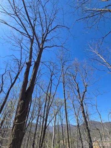 600 High Pines Loop Lake Lure NC 28746