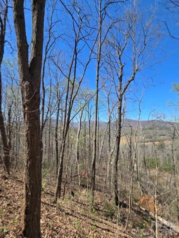 600 High Pines Loop Lake Lure NC 28746