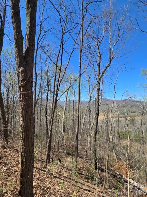 600 High Pines Loop Lake Lure NC 28746