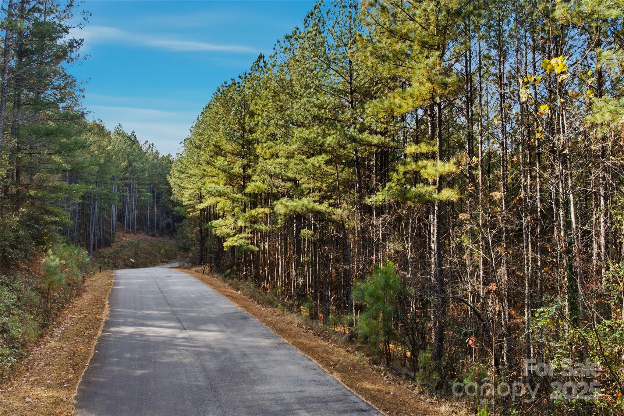 161 W Settings Boulevard NW Valdese NC 28690