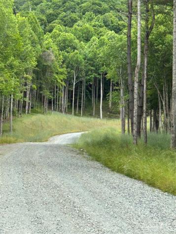 Lot 64 Poplar Forest Drive Boone NC 28607