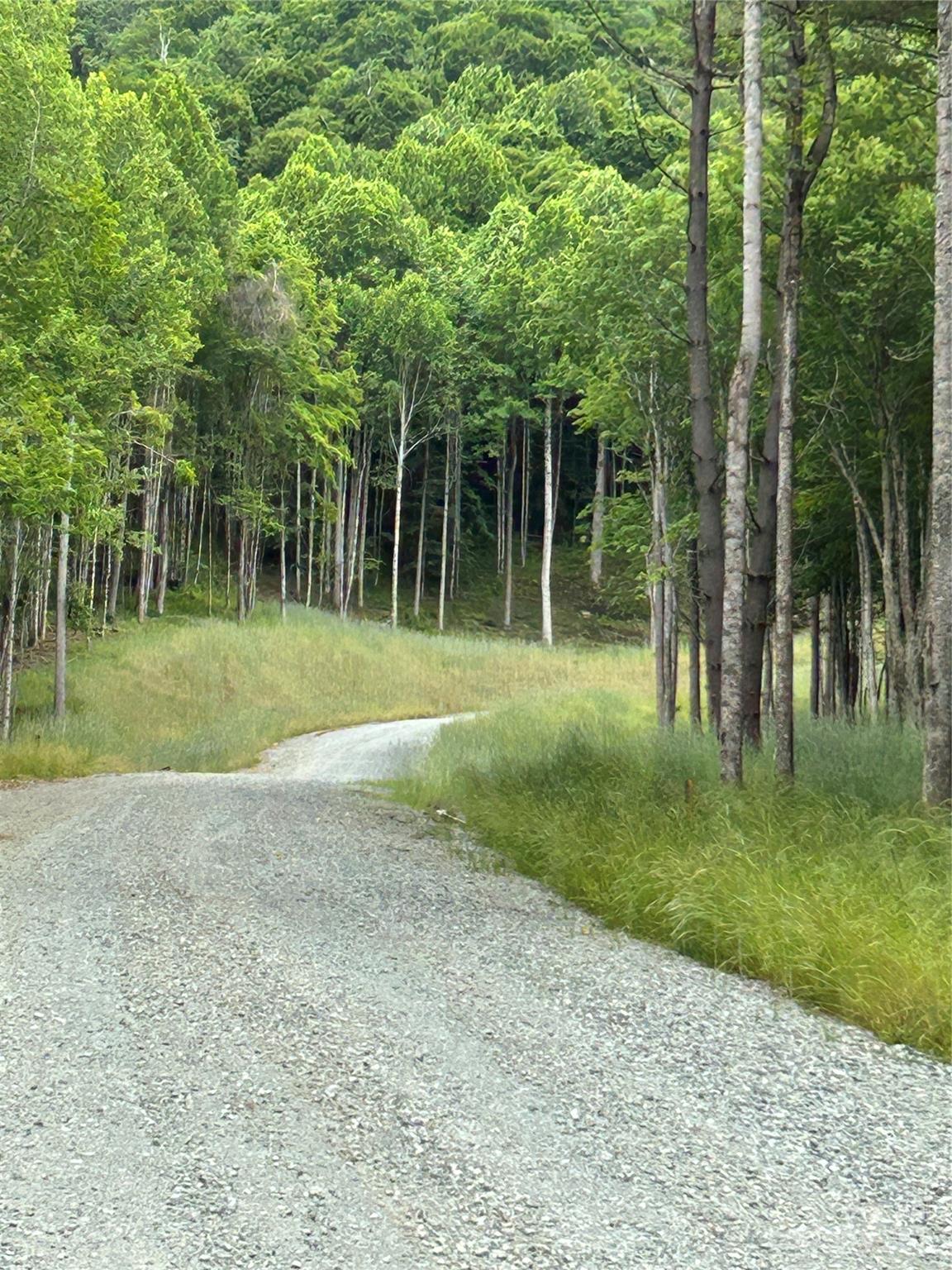 Lot 64 Poplar Forest Drive Boone NC 28607
