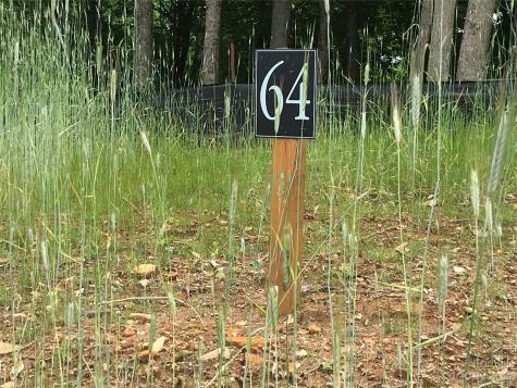 Lot 64 Poplar Forest Drive Boone NC 28607