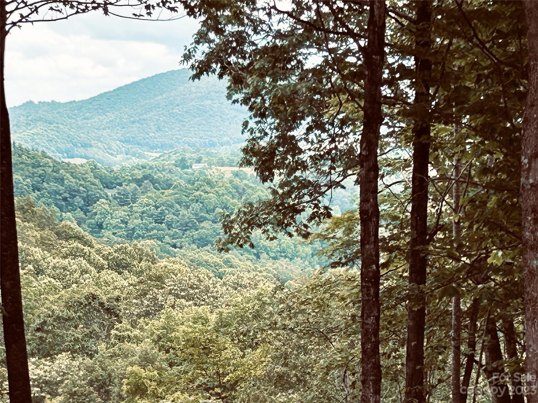 Lot 64 Poplar Forest Drive Boone NC 28607