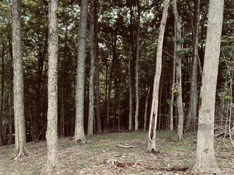 Lot 64 Poplar Forest Drive Boone NC 28607