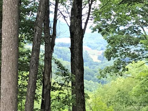 Lot 64 Poplar Forest Drive Boone NC 28607
