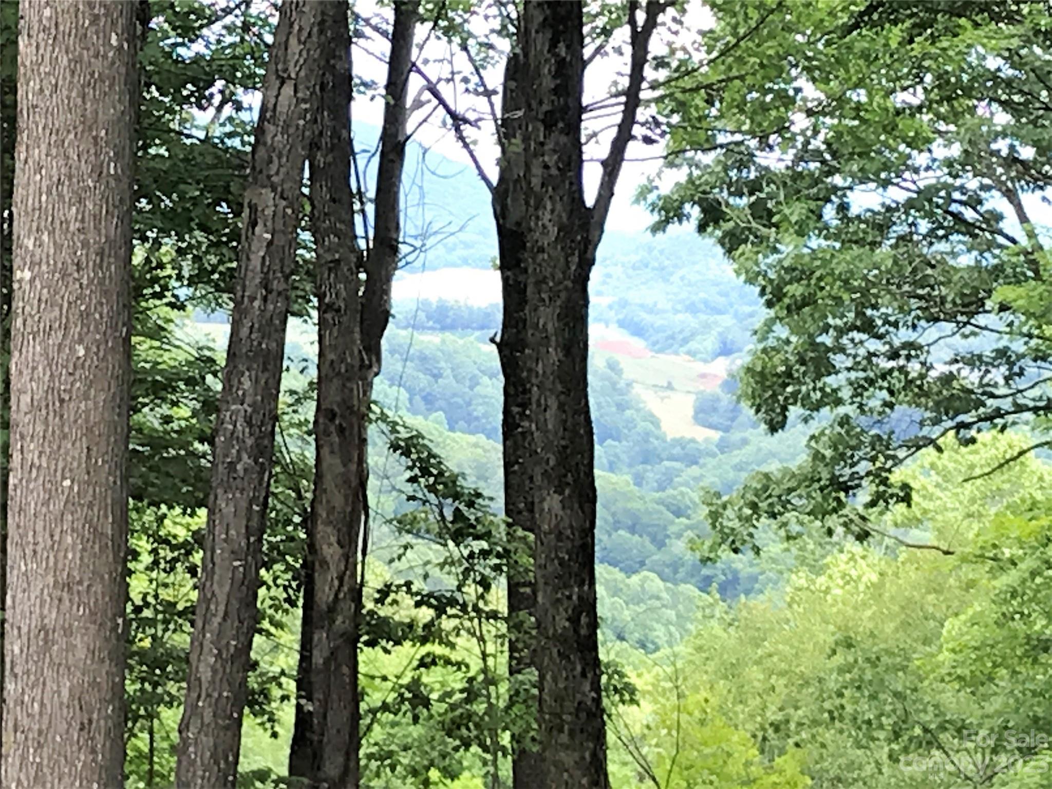 Lot 64 Poplar Forest Drive Boone NC 28607