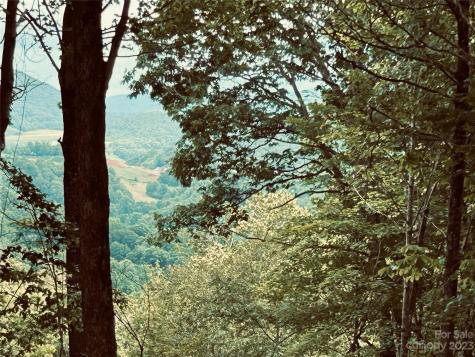 Lot 64 Poplar Forest Drive Boone NC 28607