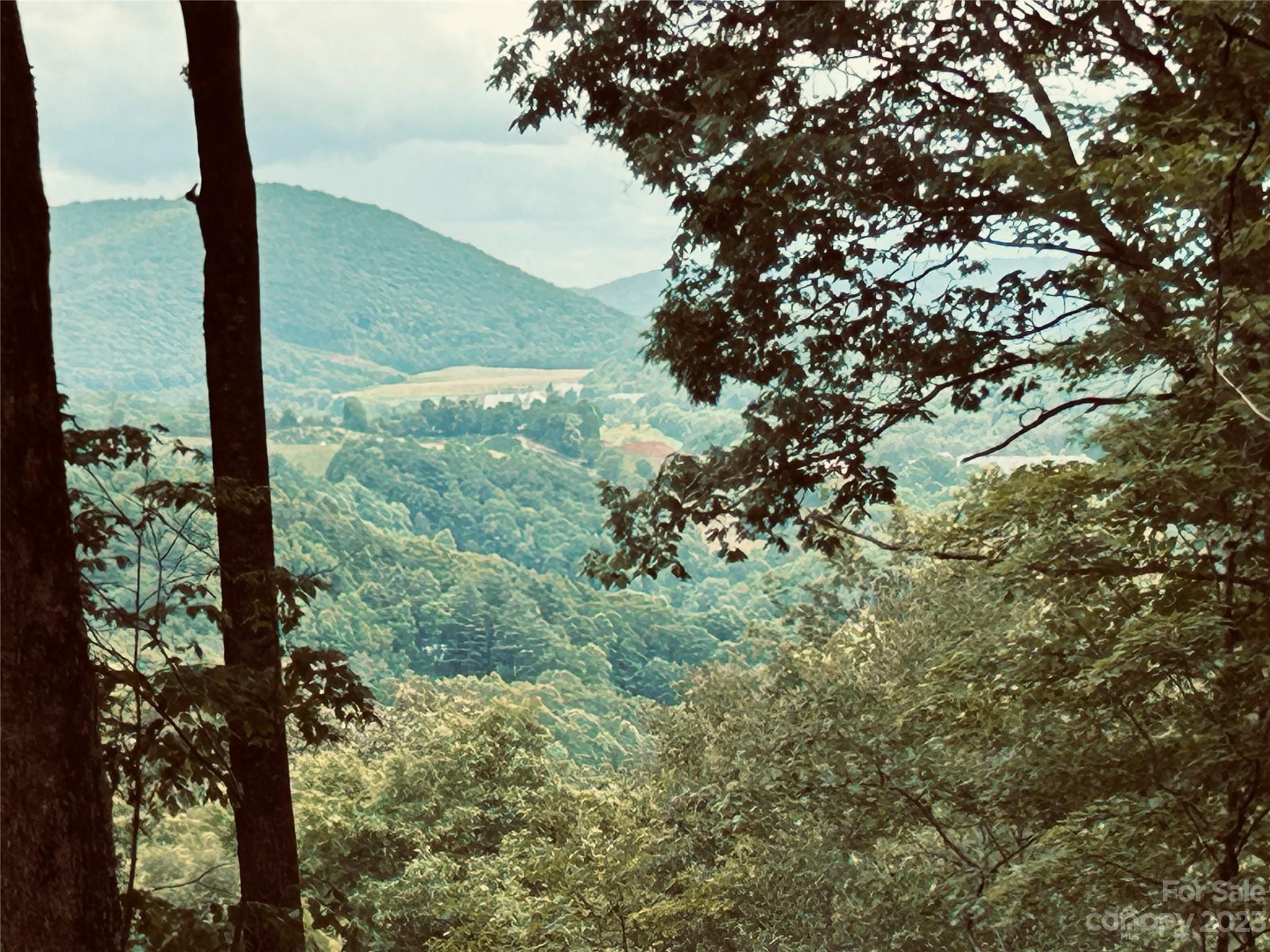 Lot 64 Poplar Forest Drive Boone NC 28607