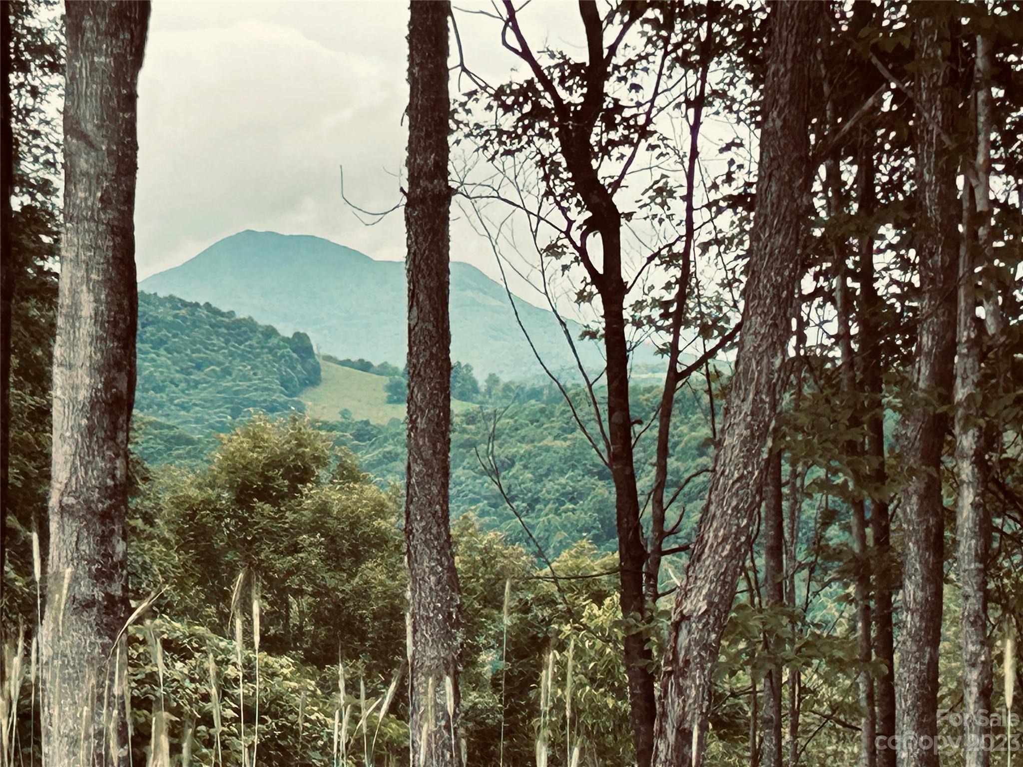 Lot 64 Poplar Forest Drive Boone NC 28607