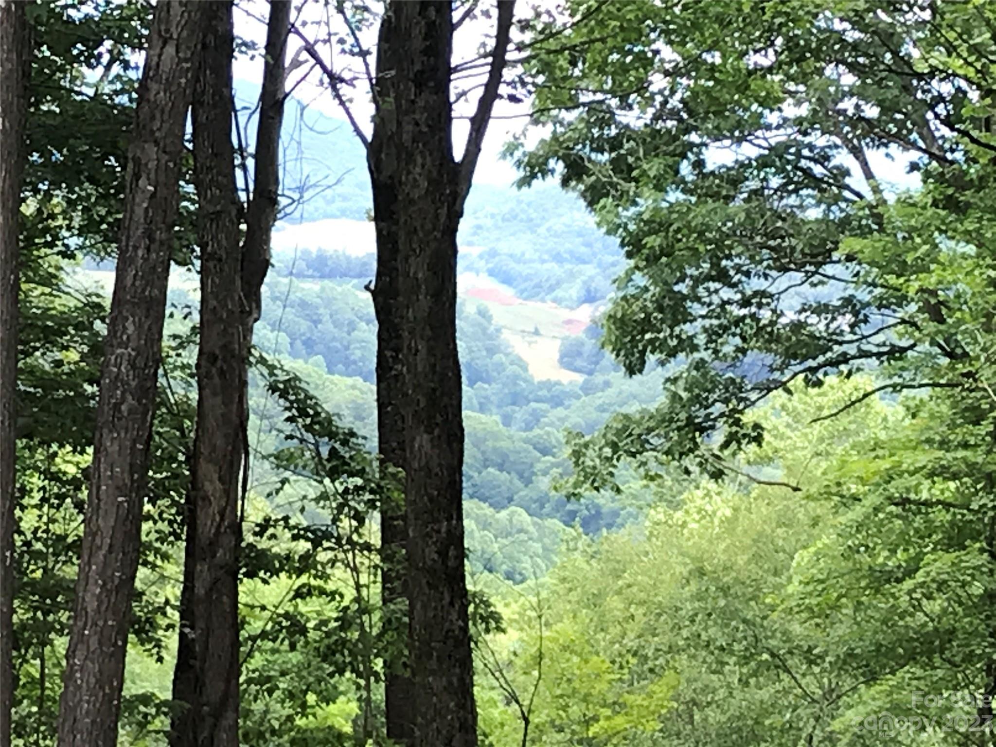 Lot 64 Poplar Forest Drive Boone NC 28607