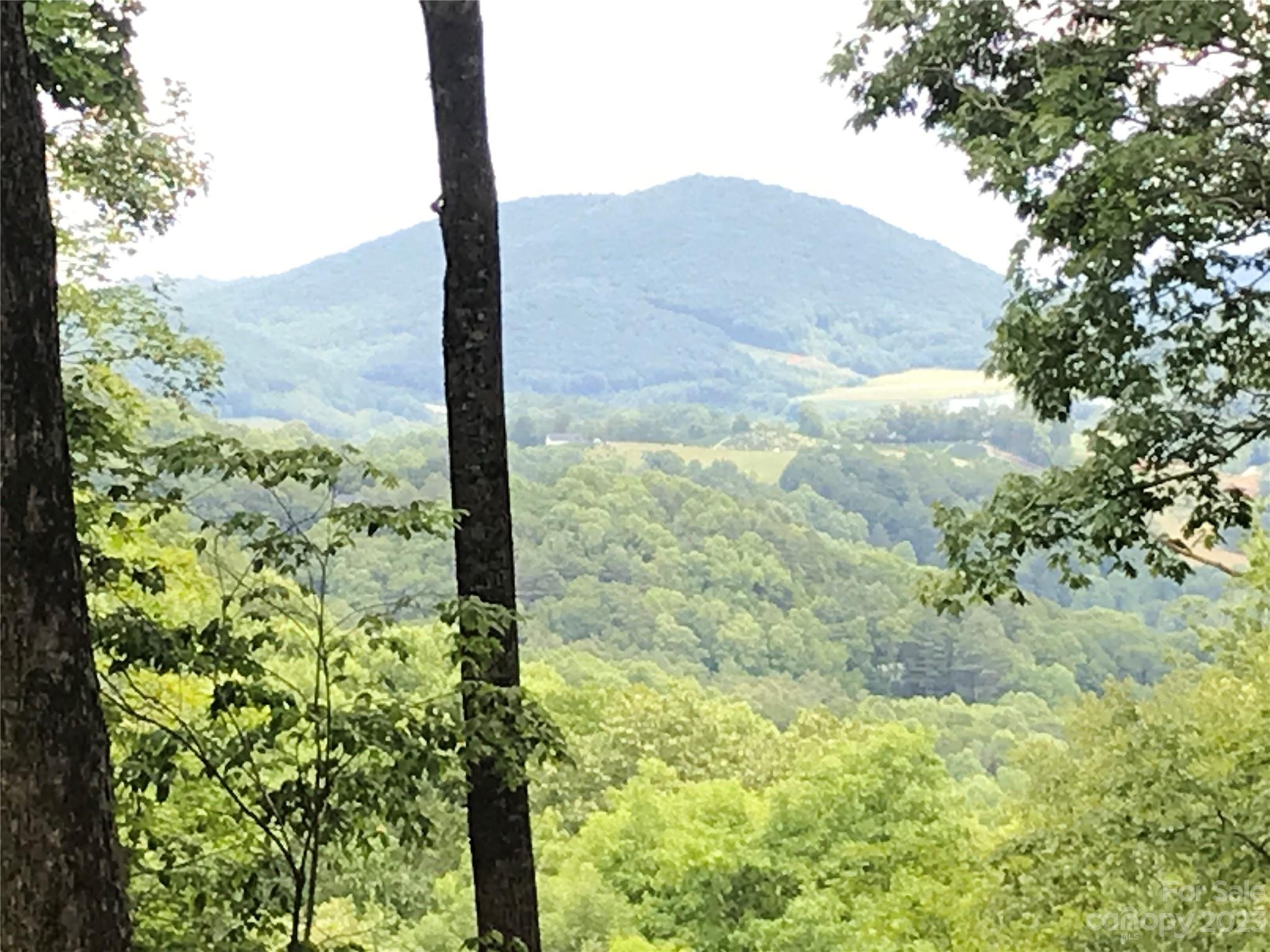 Lot 64 Poplar Forest Drive Boone NC 28607