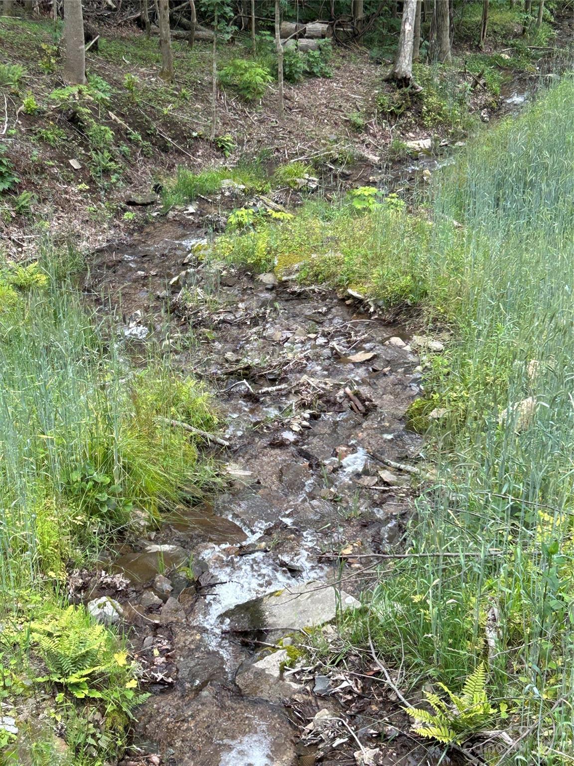 Lot 64 Poplar Forest Drive Boone NC 28607