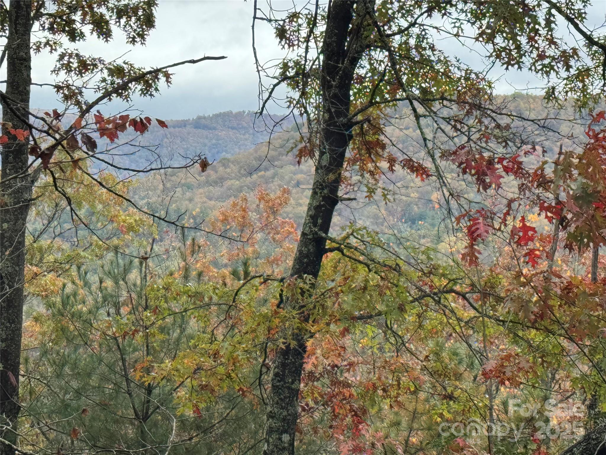 00 King Road Pisgah Forest NC 28768