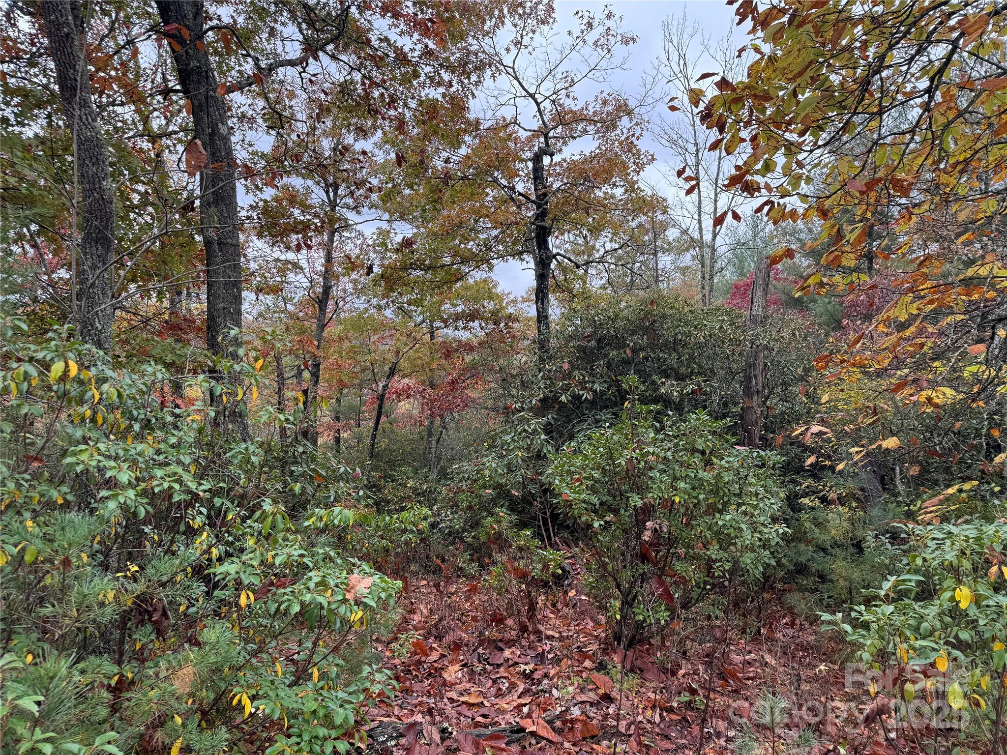 00 King Road Pisgah Forest NC 28768