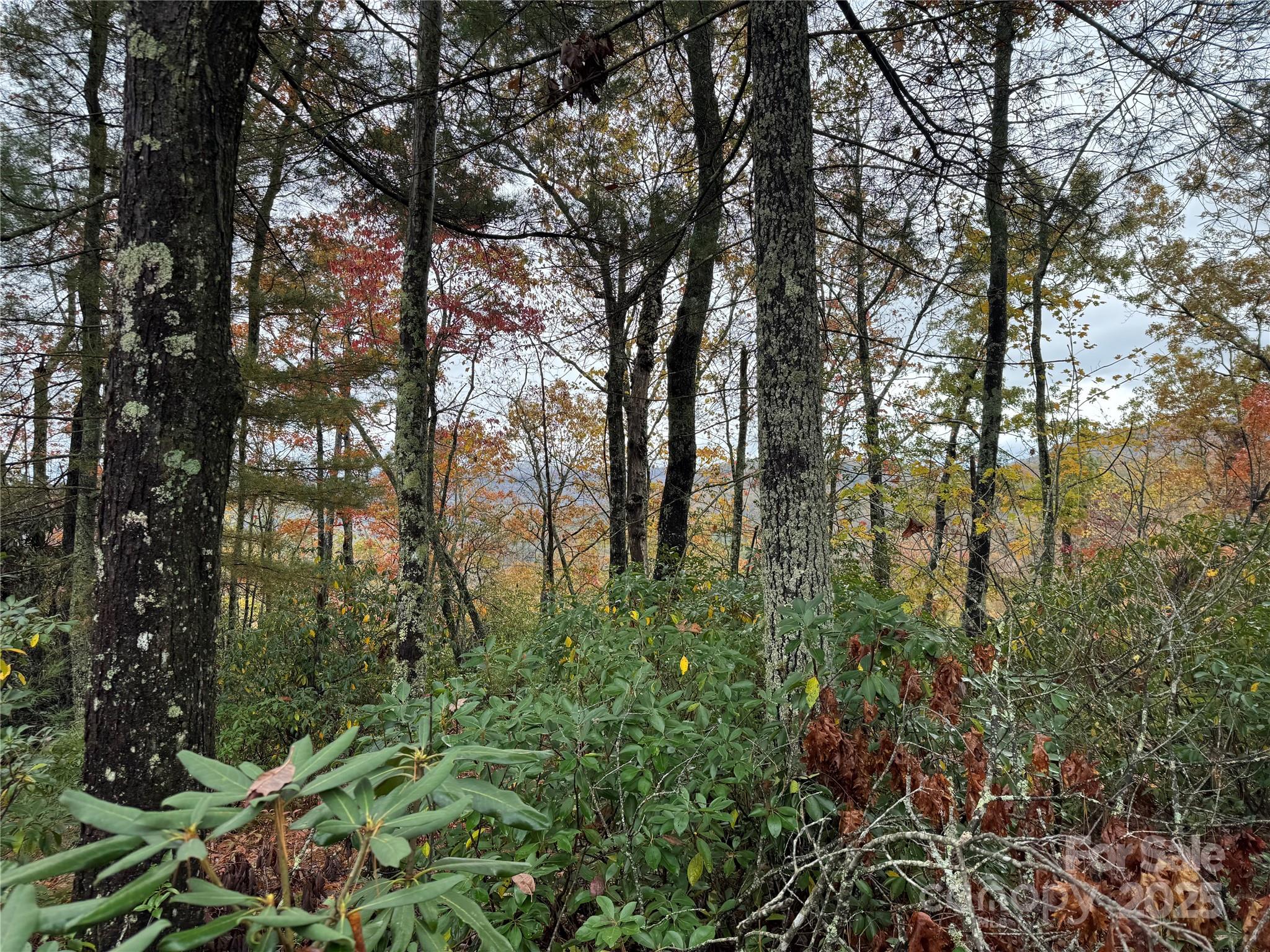 00 King Road Pisgah Forest NC 28768