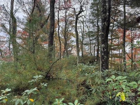 00 King Road Pisgah Forest NC 28768