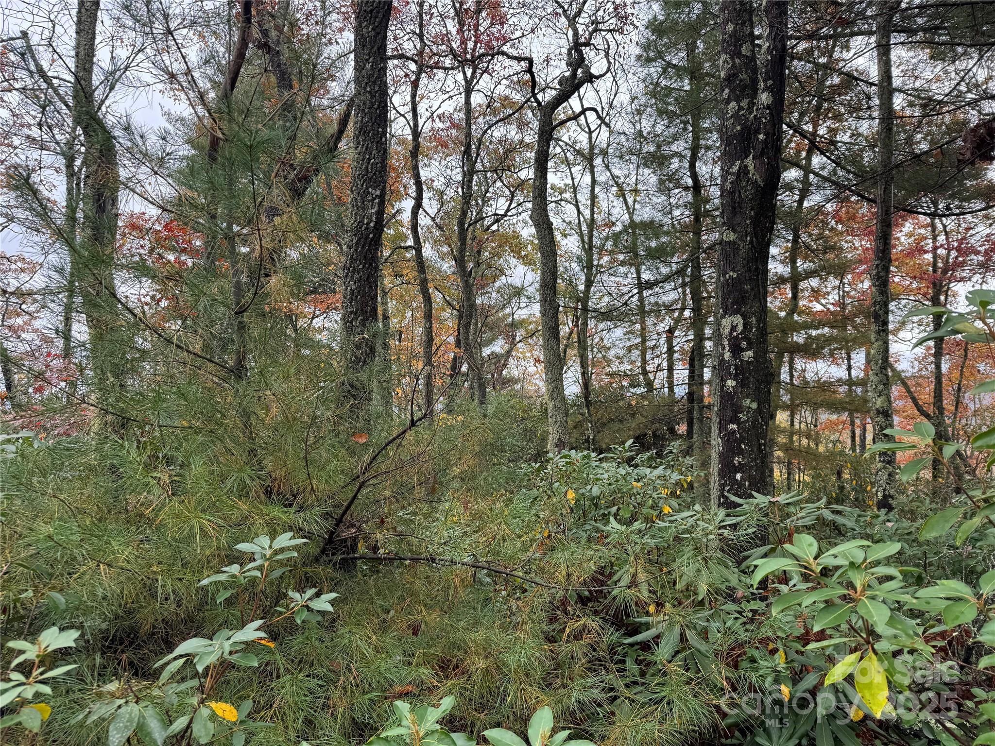 00 King Road Pisgah Forest NC 28768
