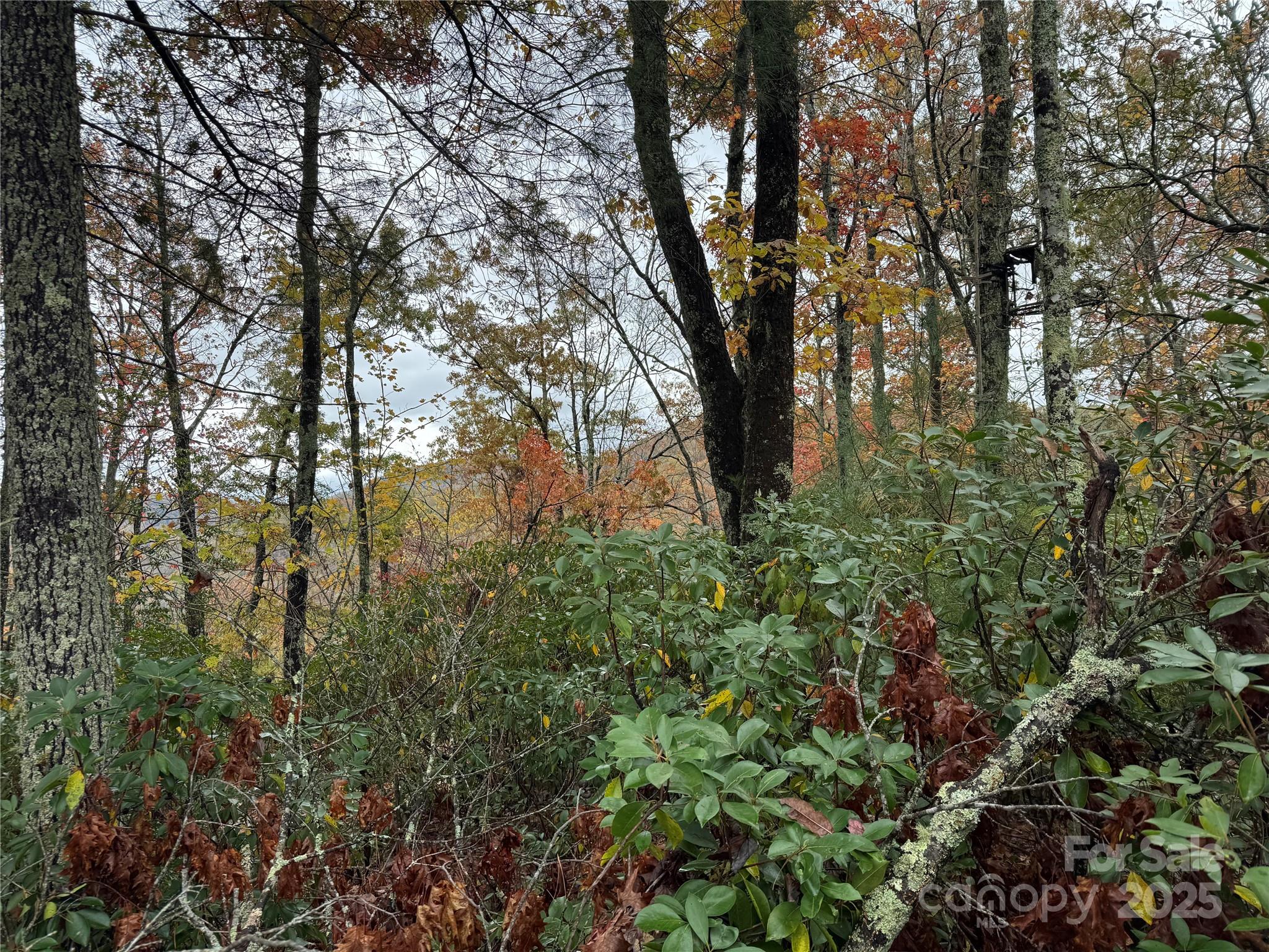 00 King Road Pisgah Forest NC 28768