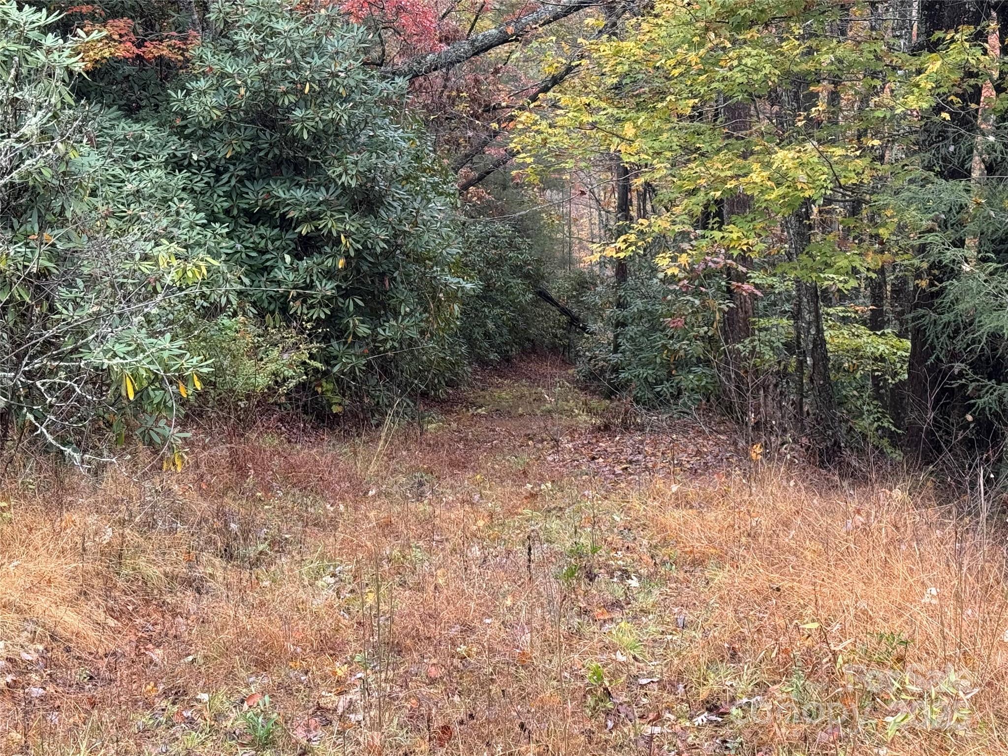 00 King Road Pisgah Forest NC 28768