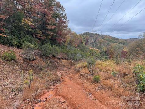 00 King Road Pisgah Forest NC 28768