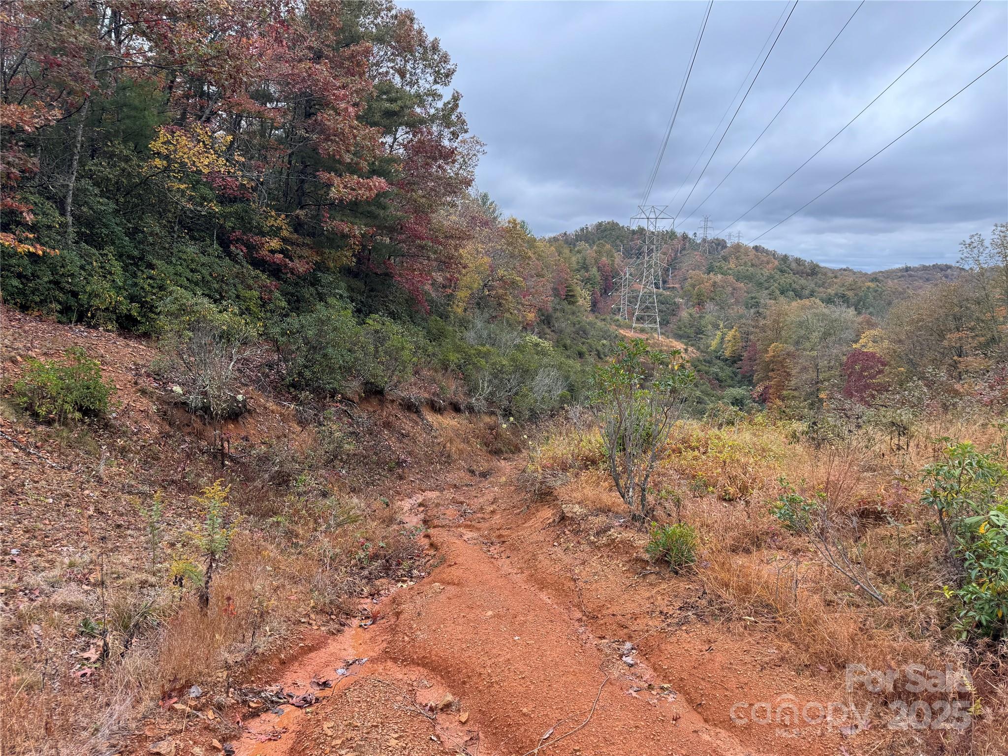 00 King Road Pisgah Forest NC 28768