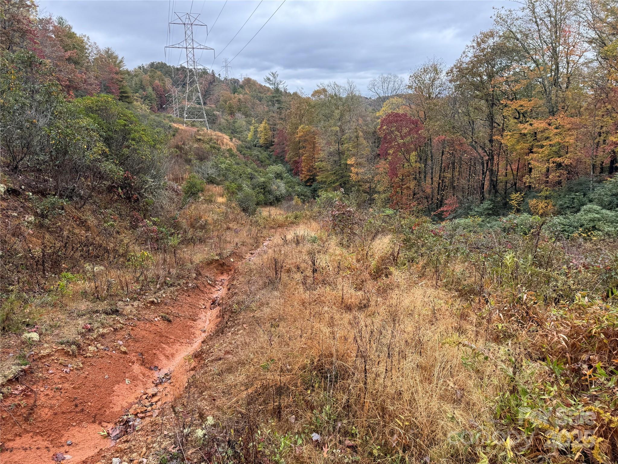 00 King Road Pisgah Forest NC 28768