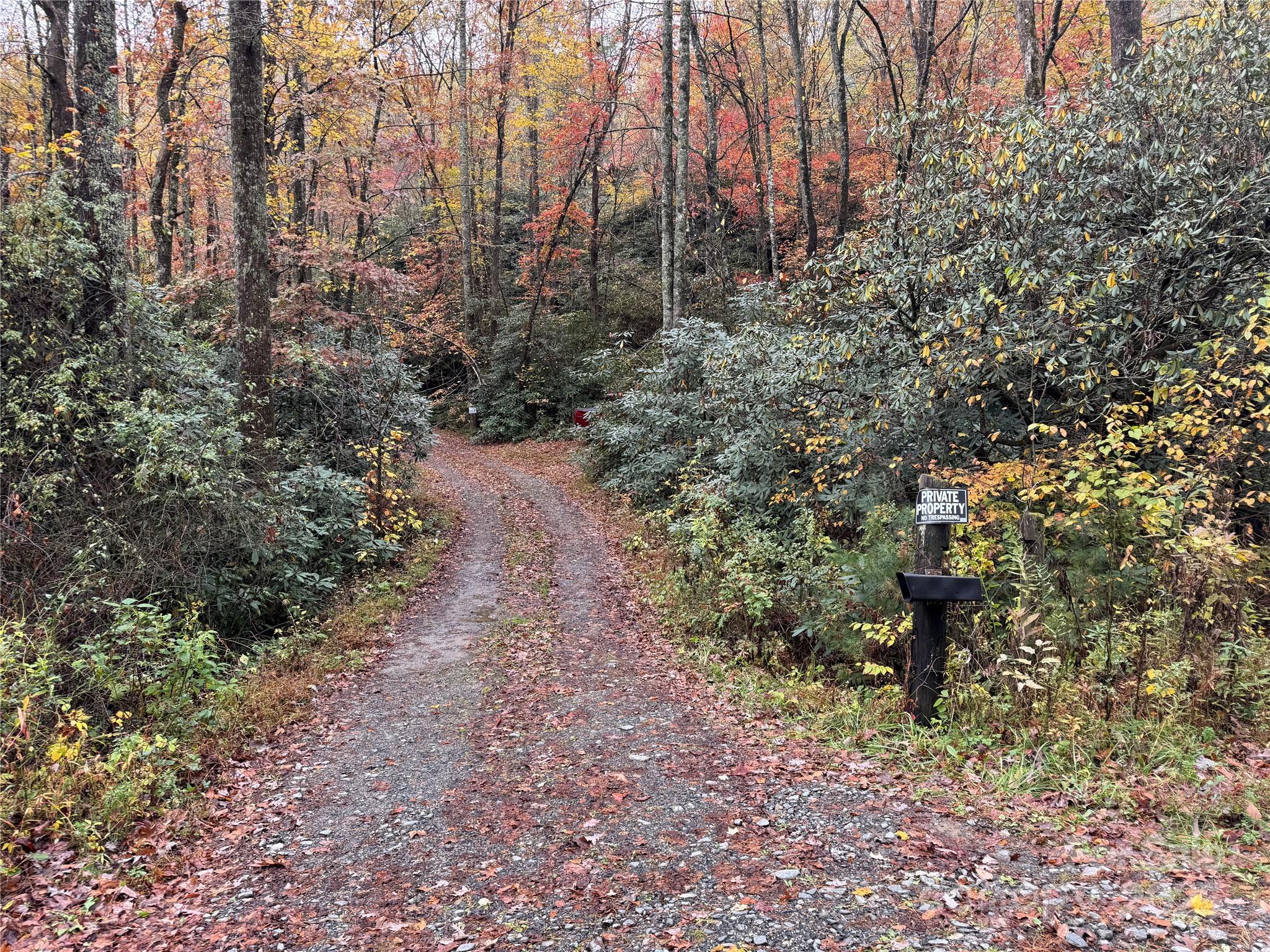 00 King Road Pisgah Forest NC 28768