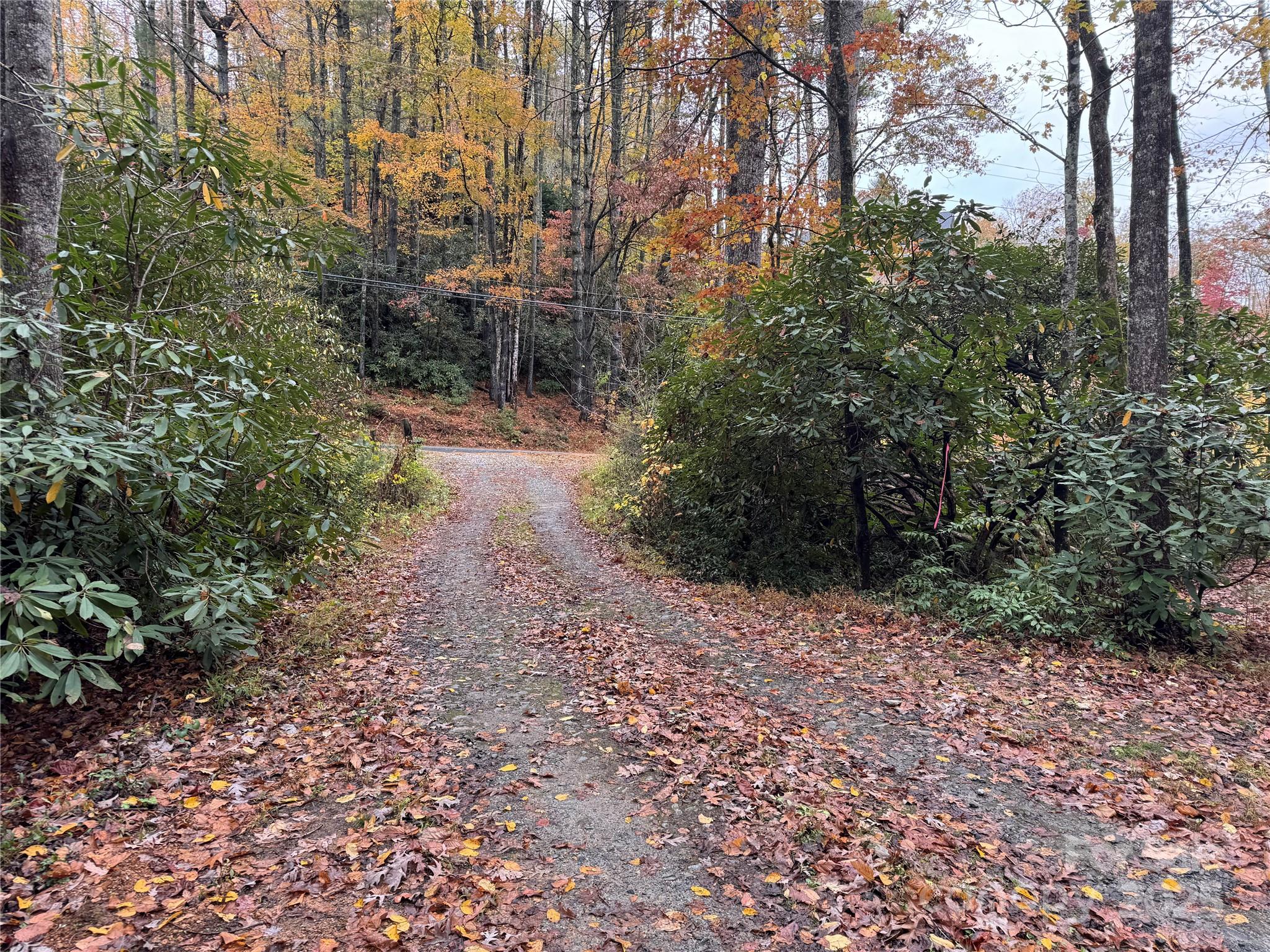 00 King Road Pisgah Forest NC 28768