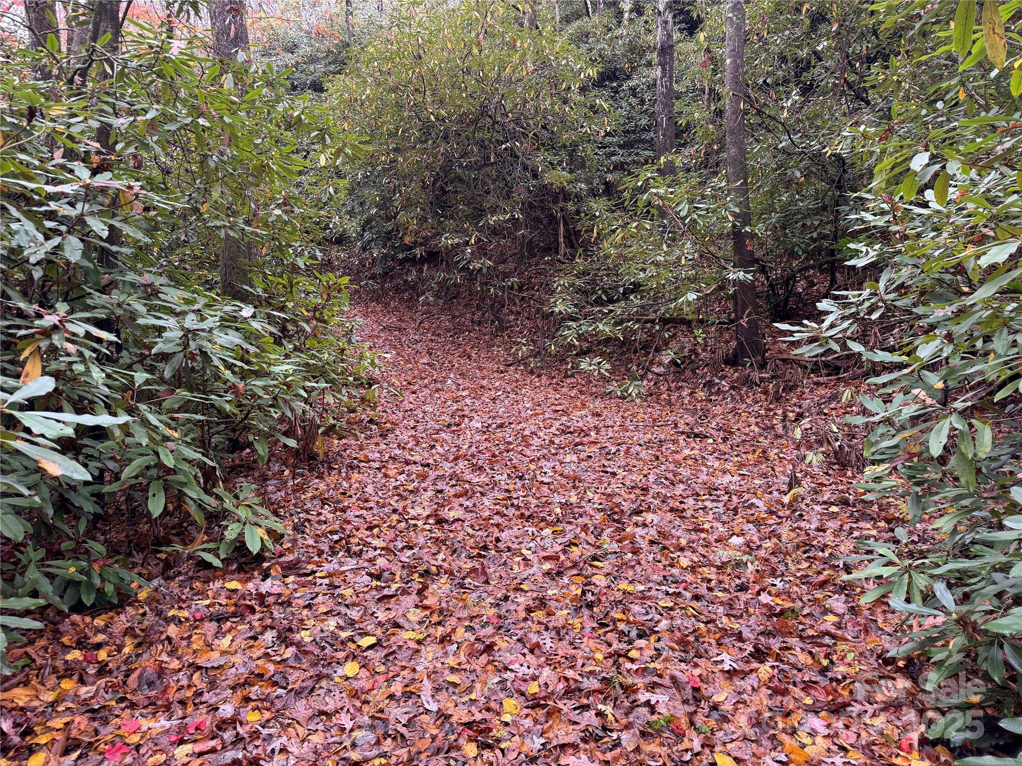 00 King Road Pisgah Forest NC 28768
