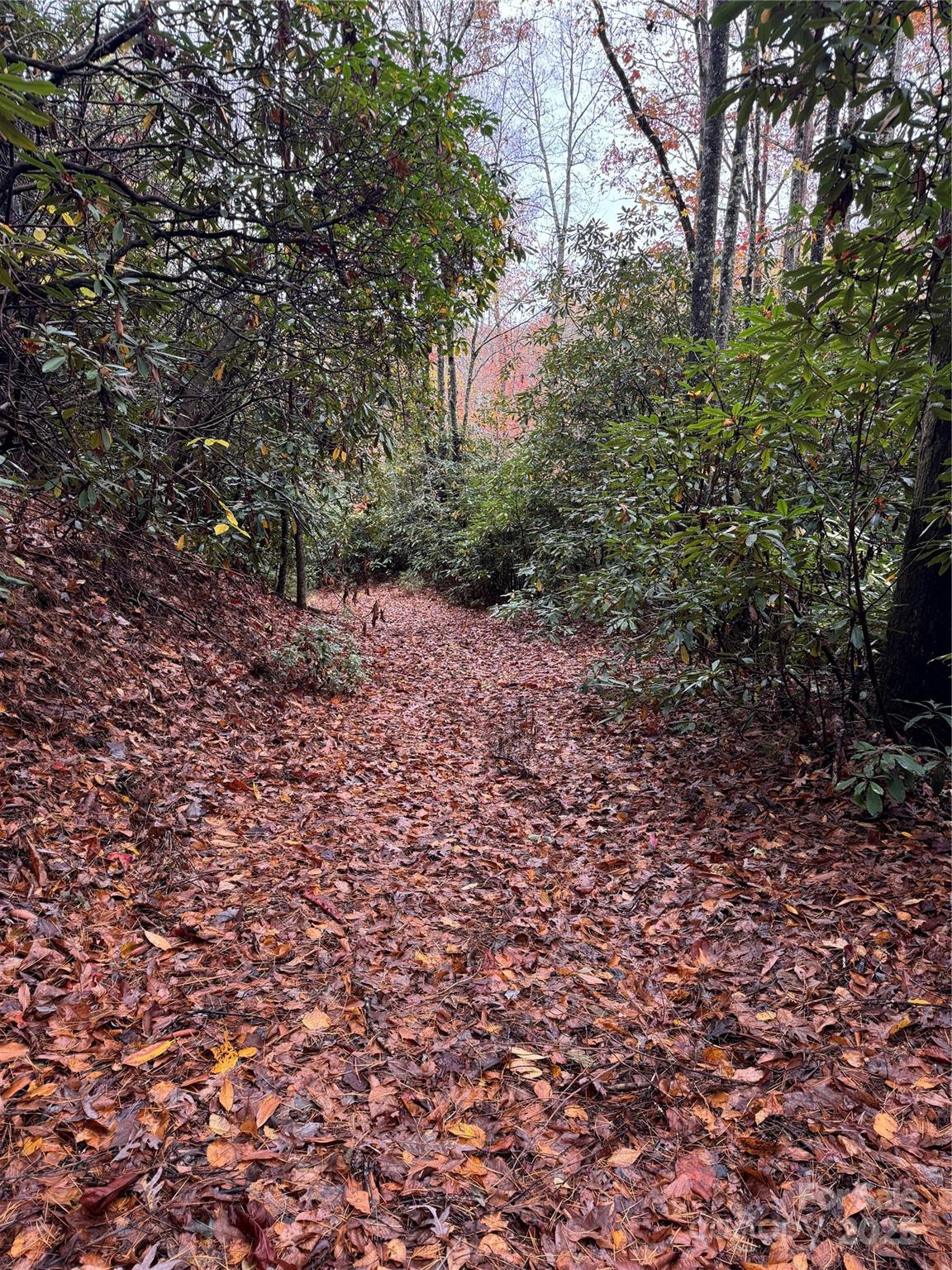 00 King Road Pisgah Forest NC 28768