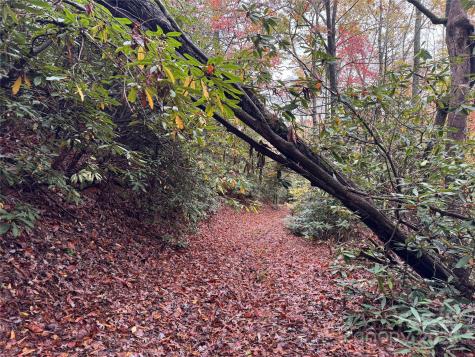 00 King Road Pisgah Forest NC 28768