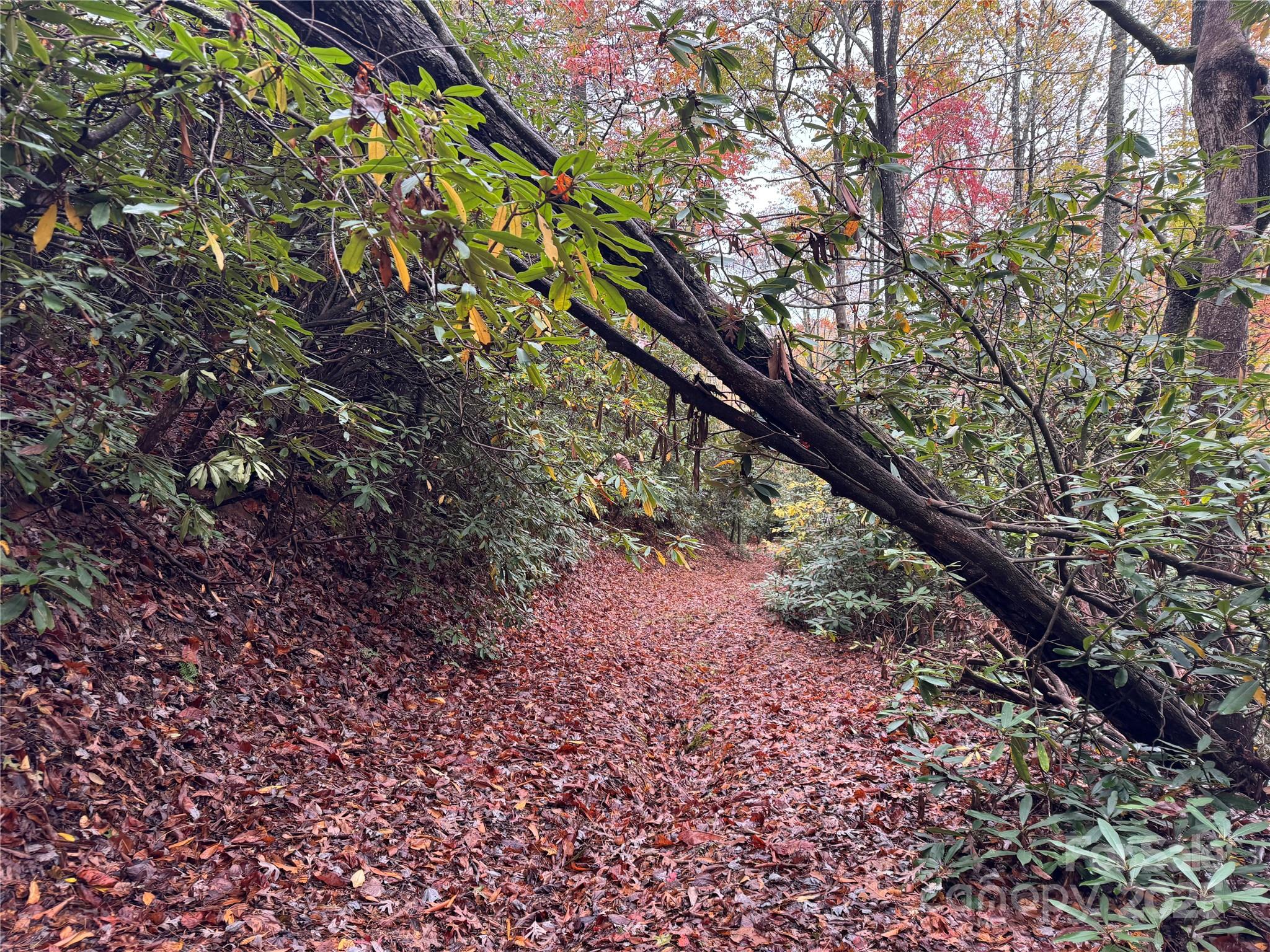 00 King Road Pisgah Forest NC 28768