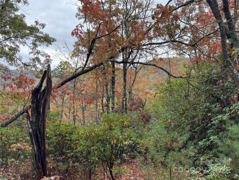 00 King Road Pisgah Forest NC 28768