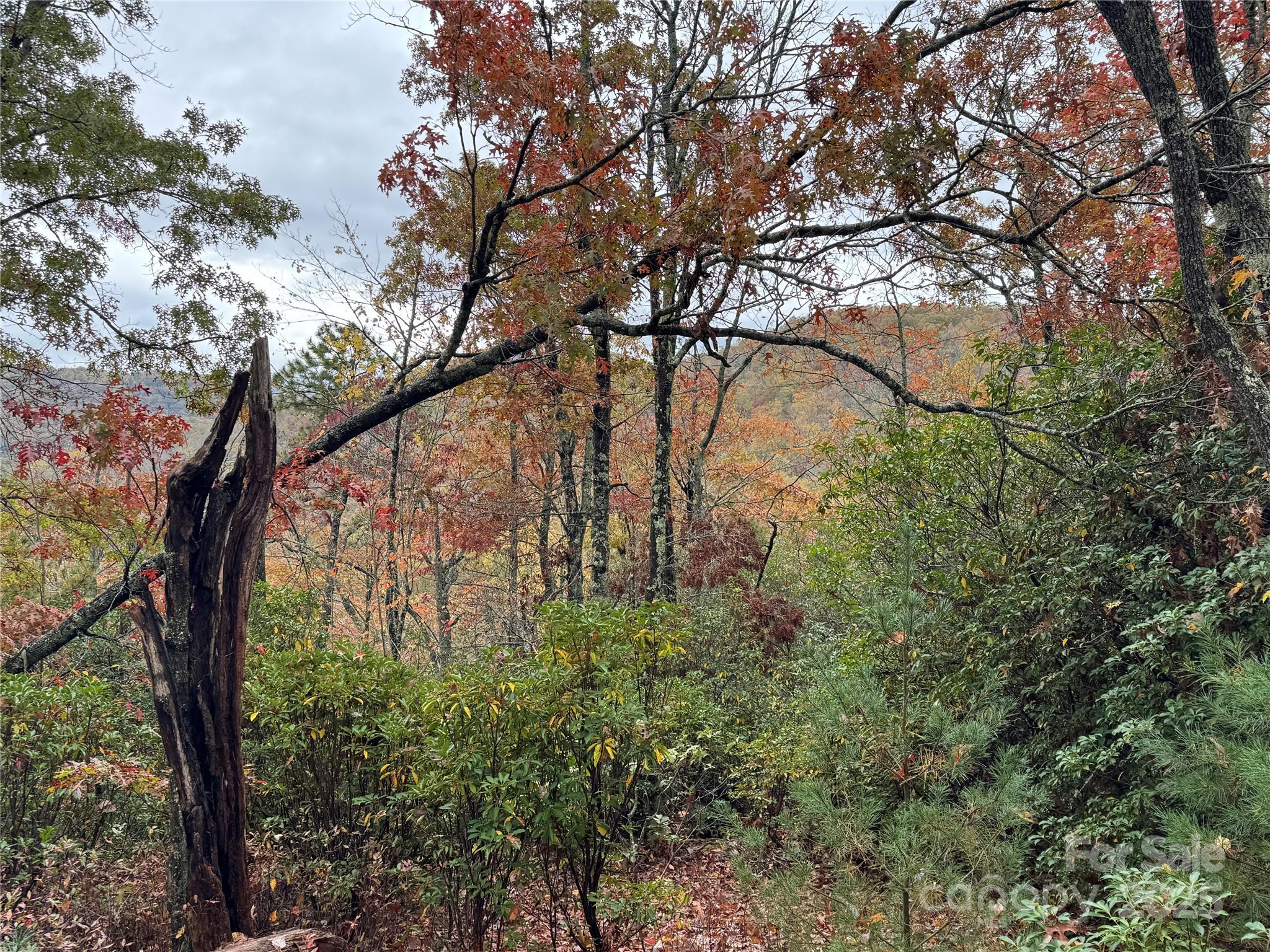 00 King Road Pisgah Forest NC 28768