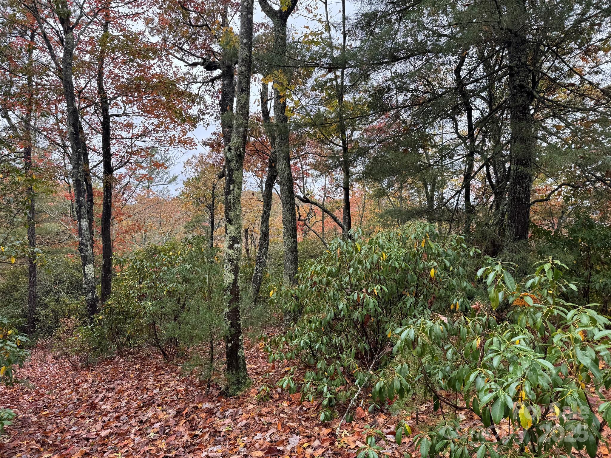 00 King Road Pisgah Forest NC 28768