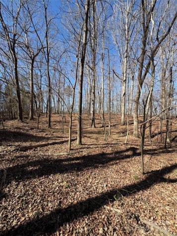 1417 Ellis Griffin Road Wingate NC 28174