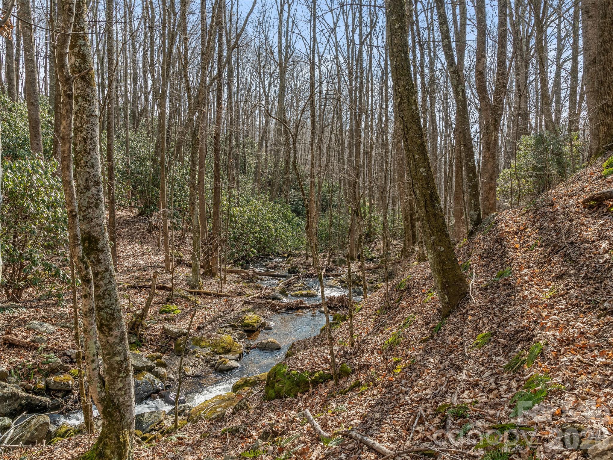 625 Cook Town Road Bakersville NC 28705