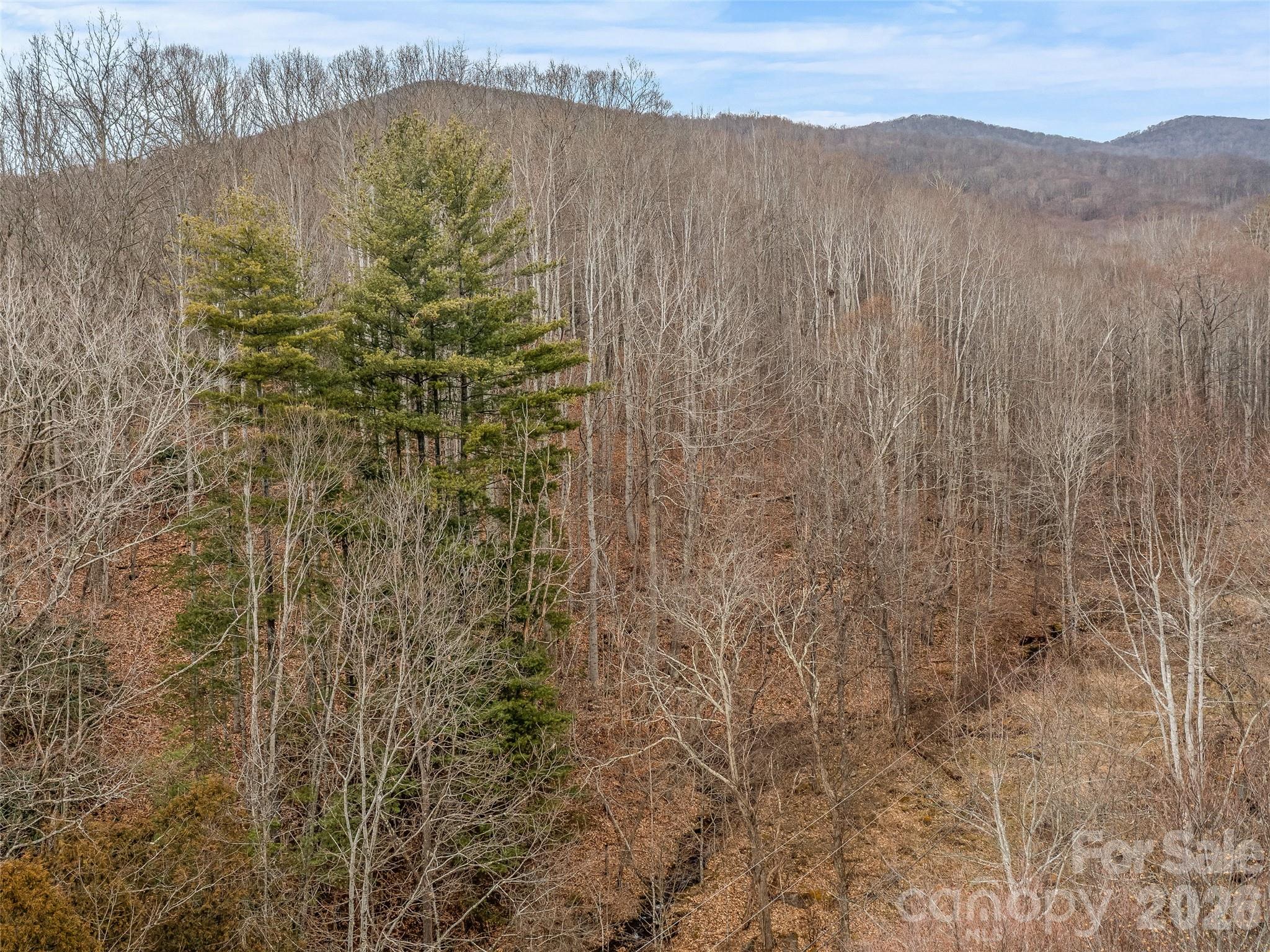 625 Cook Town Road Bakersville NC 28705