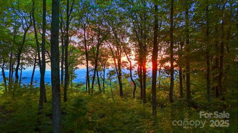 0 Mountain Grove Lane Fletcher NC 28732