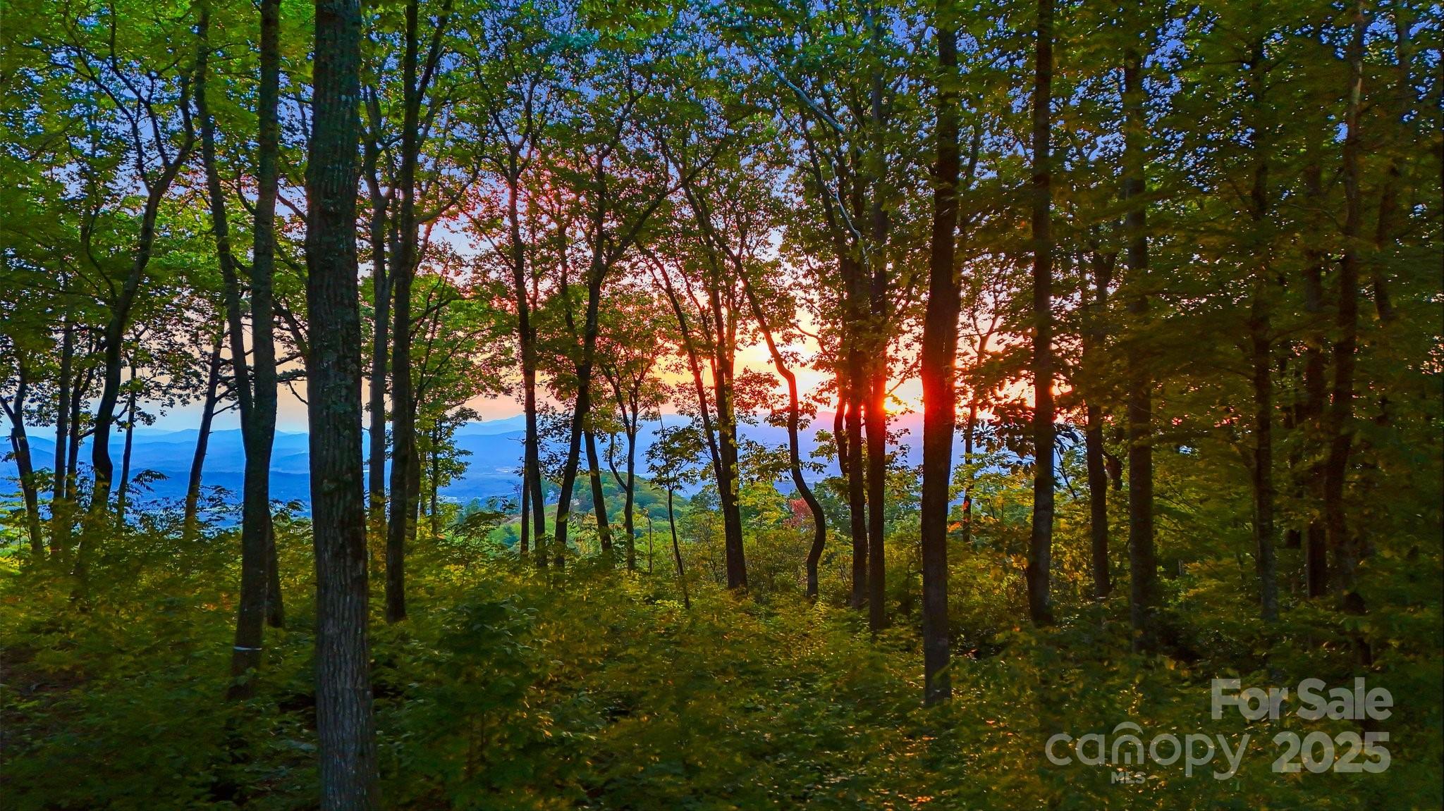 0 Mountain Grove Lane Fletcher NC 28732