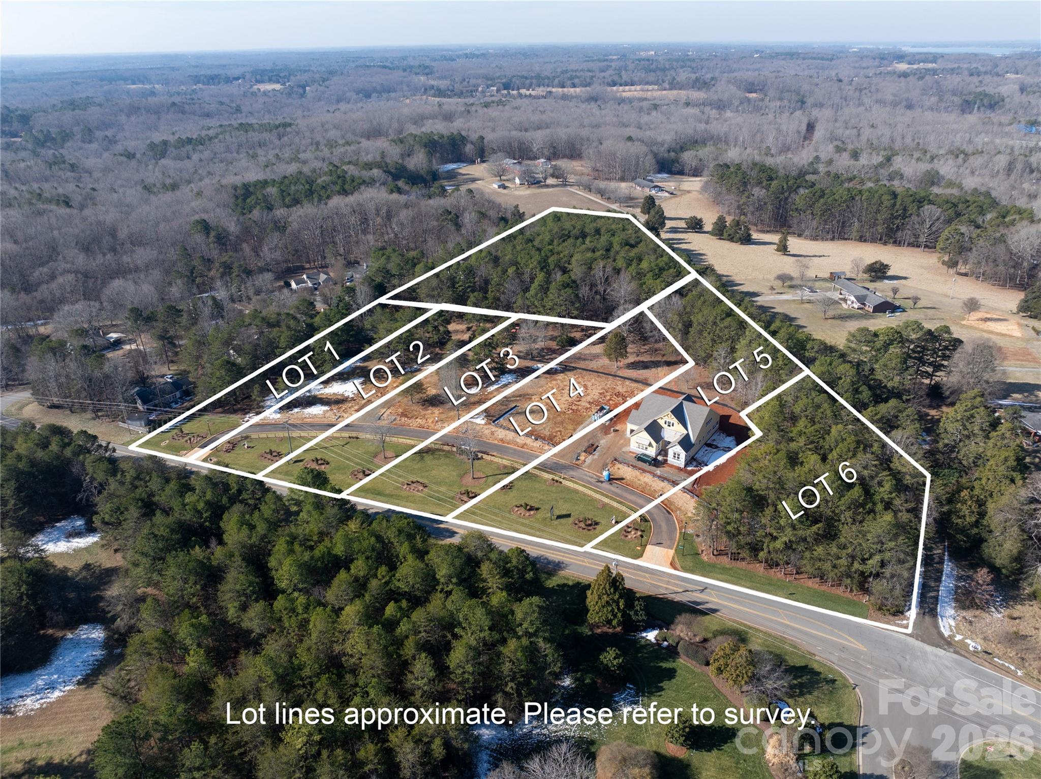 106 Willow View Loop Davidson NC 28036