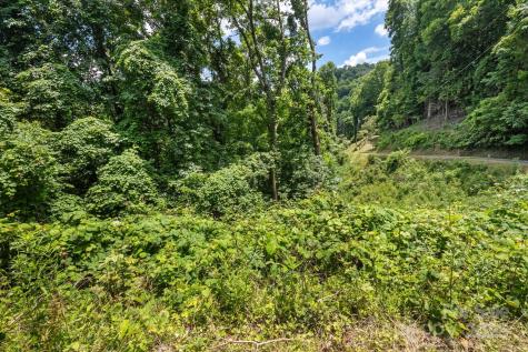 99999 Secluded Valley Road Marshall NC 28743