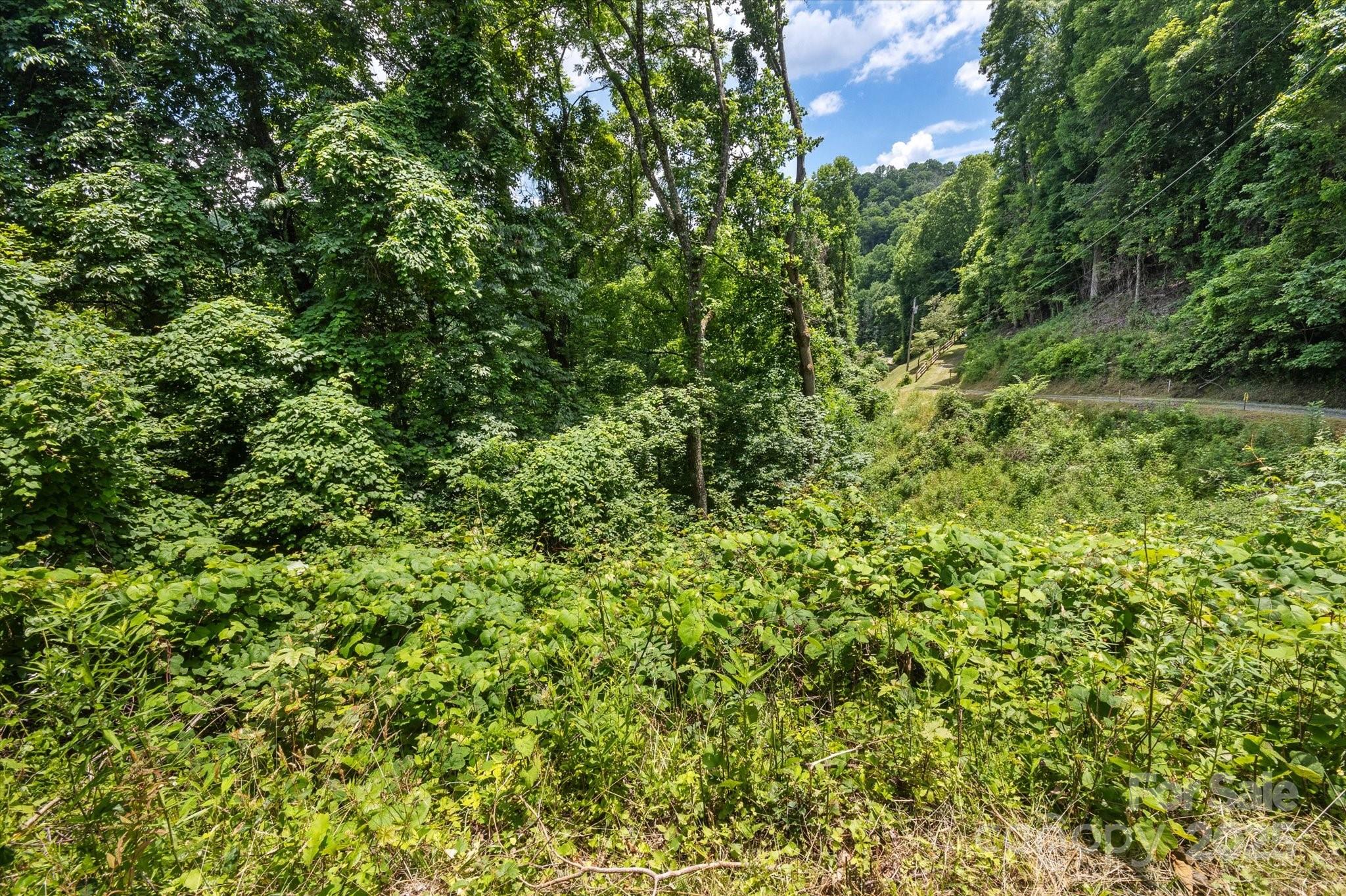 99999 Secluded Valley Road Marshall NC 28743