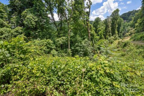 99999 Secluded Valley Road Marshall NC 28743
