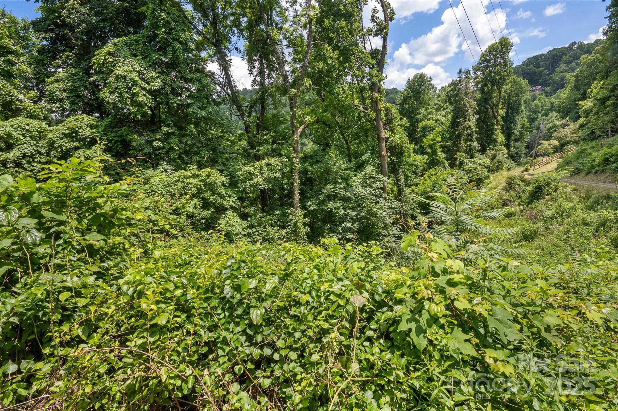 99999 Secluded Valley Road Marshall NC 28743