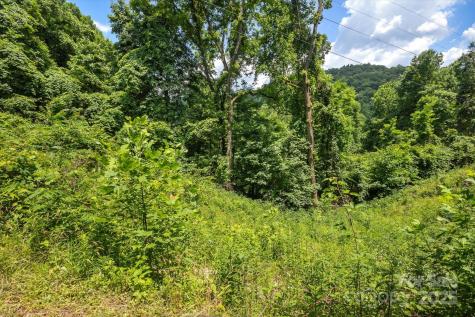 99999 Secluded Valley Road Marshall NC 28743