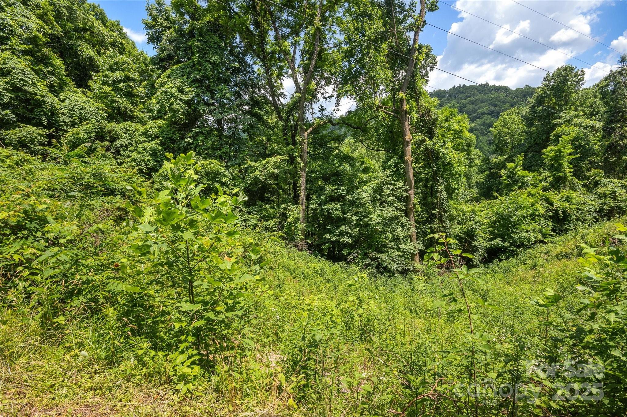 99999 Secluded Valley Road Marshall NC 28743