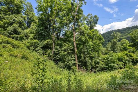99999 Secluded Valley Road Marshall NC 28743