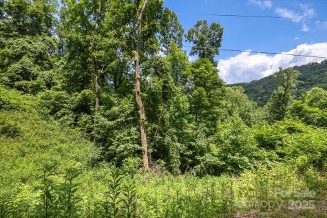 99999 Secluded Valley Road Marshall NC 28743
